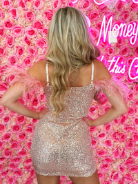Thumbnail for Poppin Champagne Sequin Dress